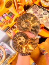 Load image into Gallery viewer, Ammonite Fossil Pair