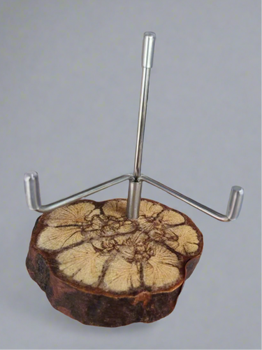 Ayahuasca Display Stand — Sacred Wood Slice Altar Piece