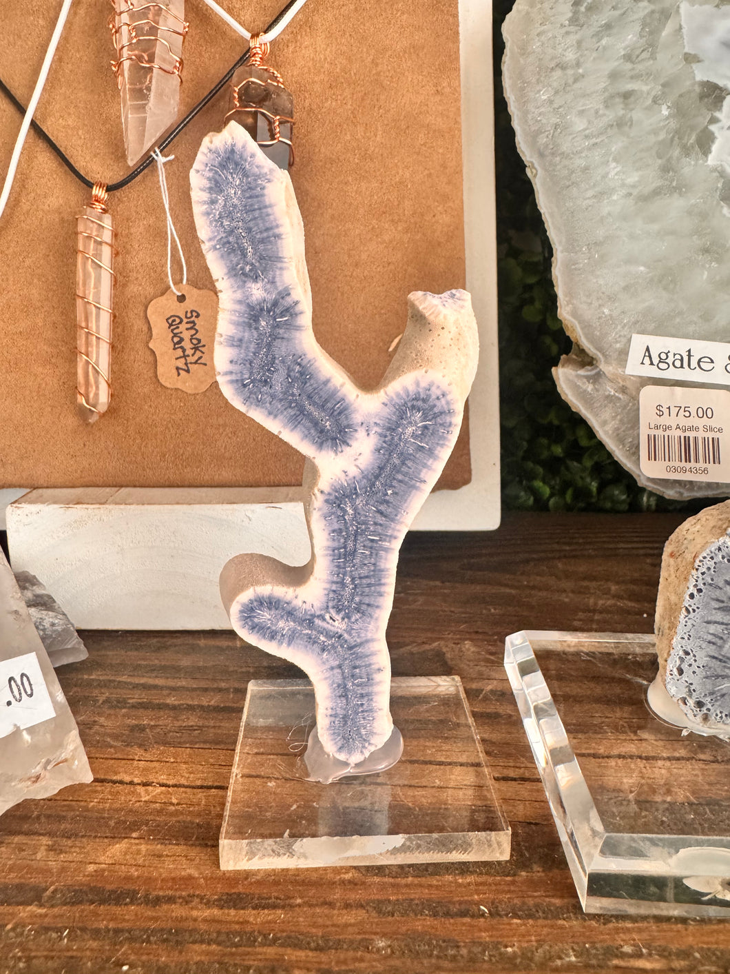 Blue Ridge Coral