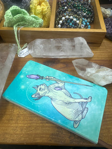 Magical Sphynx Cat Book