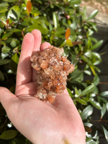 Sputnik Aragonite