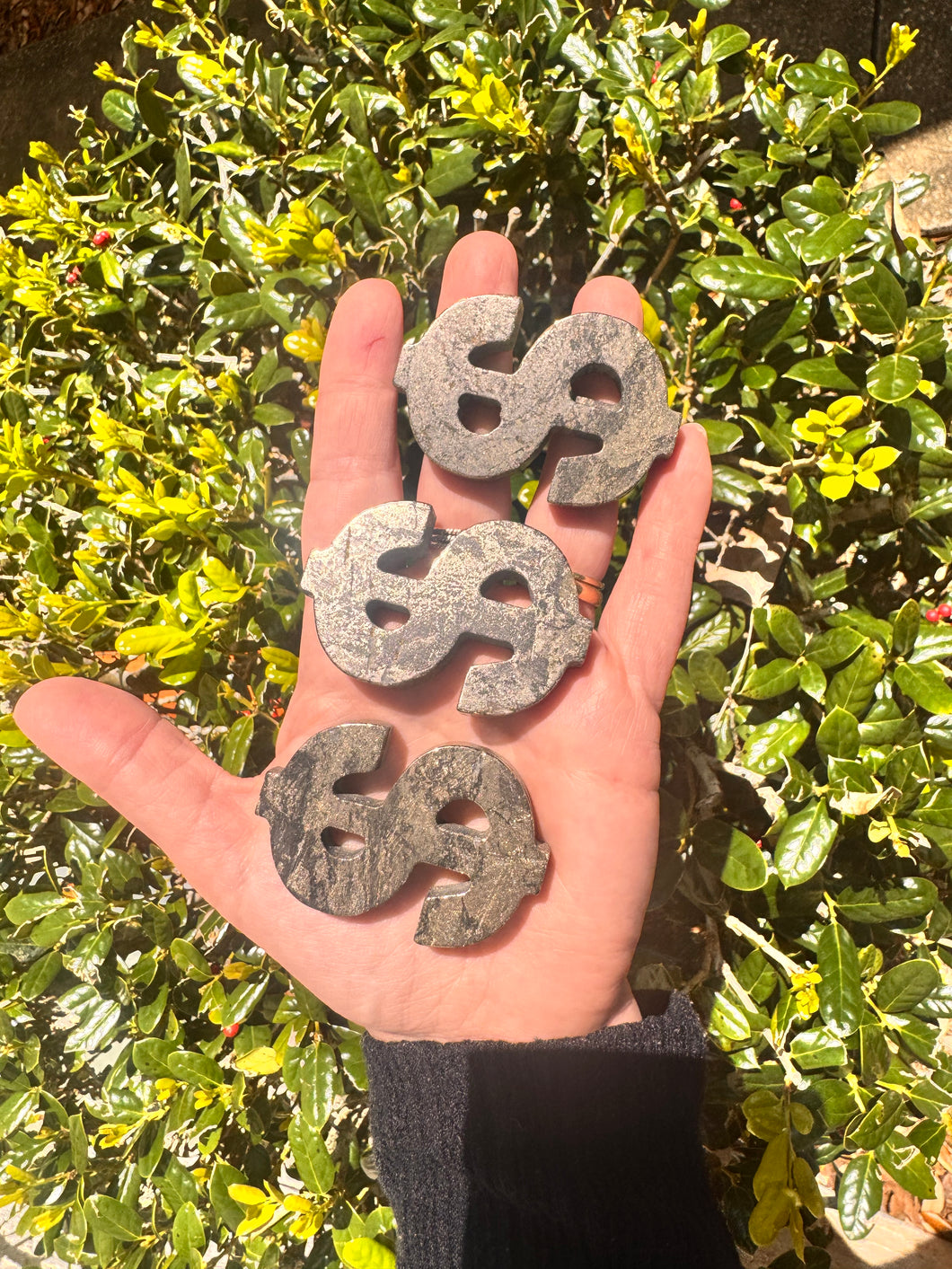 Pyrite Dollar