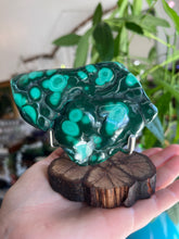 Load image into Gallery viewer, Ayahuasca Display Stand — Sacred Wood Slice Altar Piece