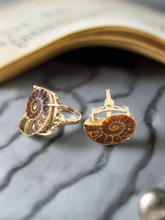Load image into Gallery viewer, Ammonite Fossil Ring – Adjustable Crystal Jewelry