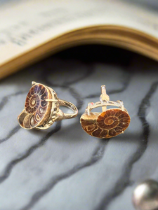 Ammonite Fossil Ring – Adjustable Crystal Jewelry