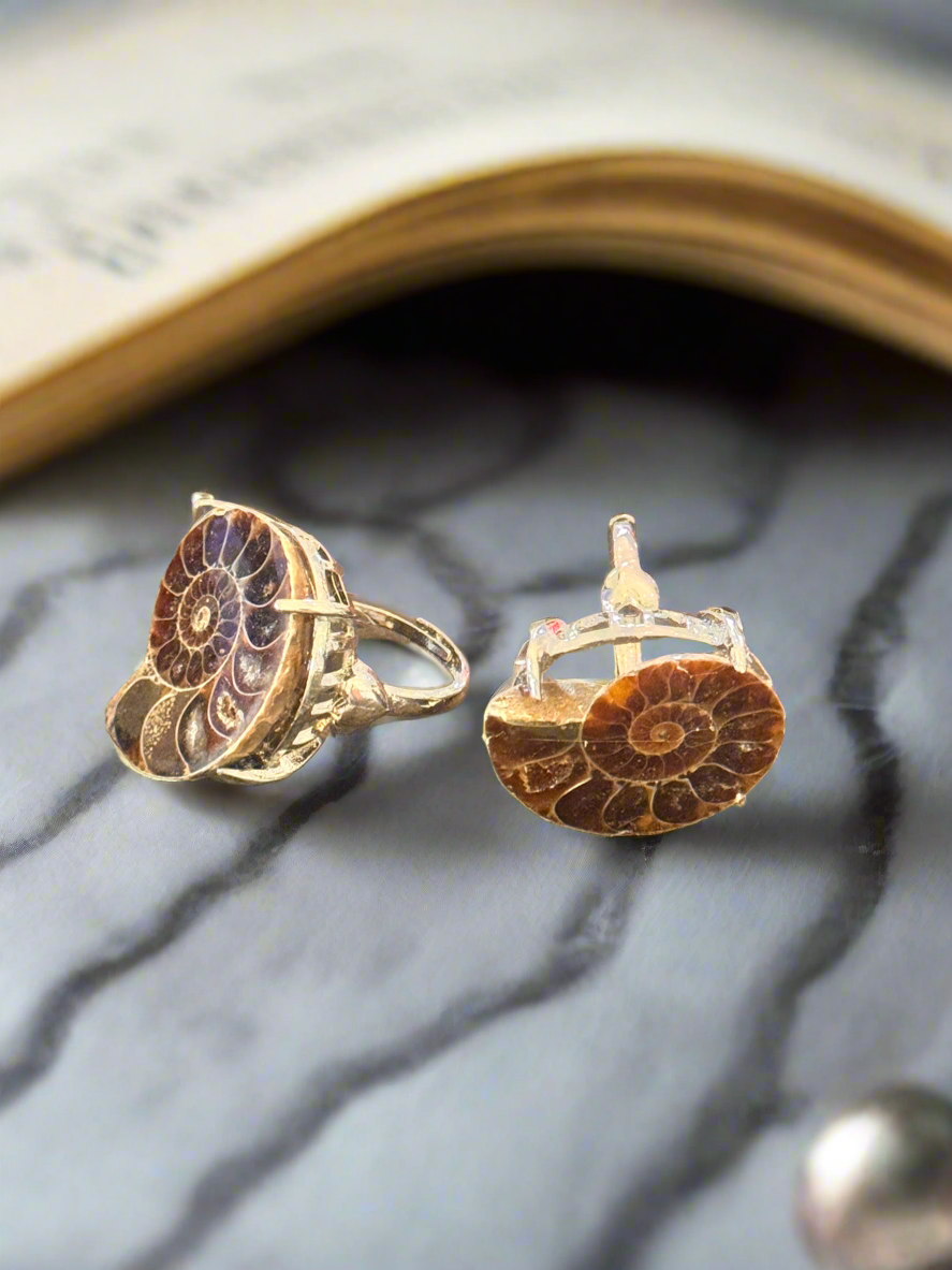 Ammonite Fossil Ring – Adjustable Crystal Jewelry