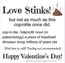 Load image into Gallery viewer, “Love Stinks” Coprolite Valentine