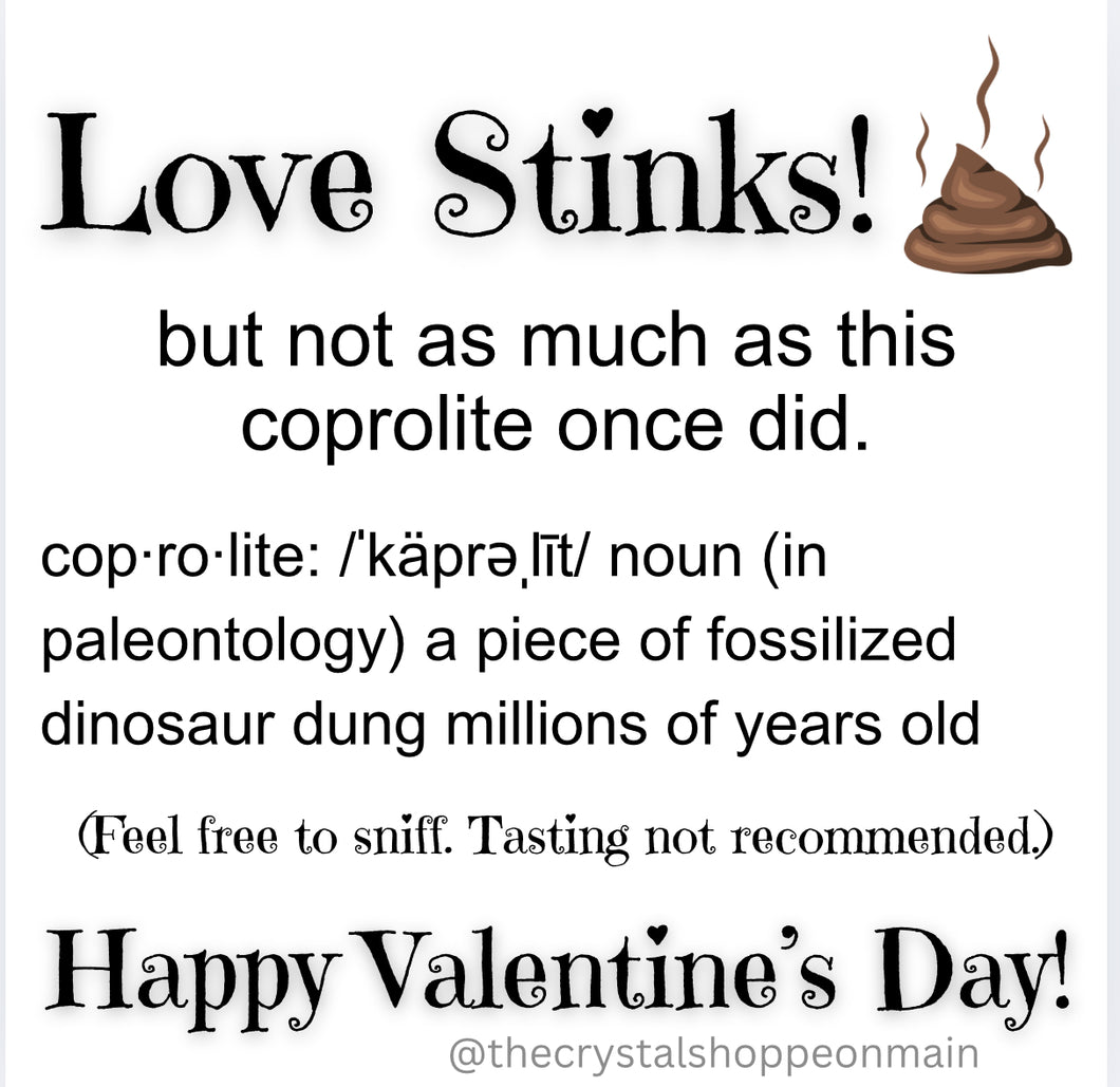 “Love Stinks” Coprolite Valentine