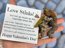 Load image into Gallery viewer, “Love Stinks” Coprolite Valentine