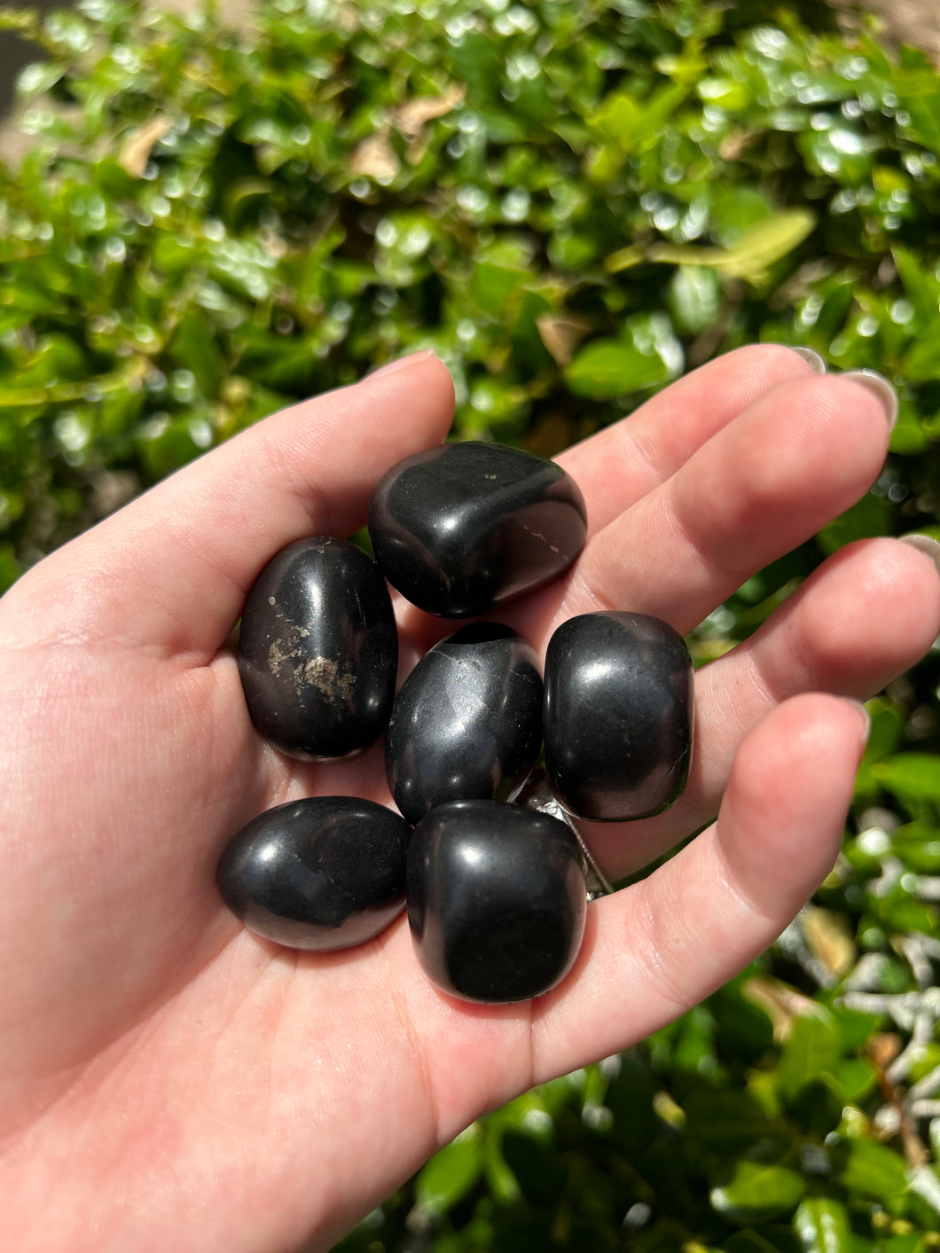 Shungite Tumbled