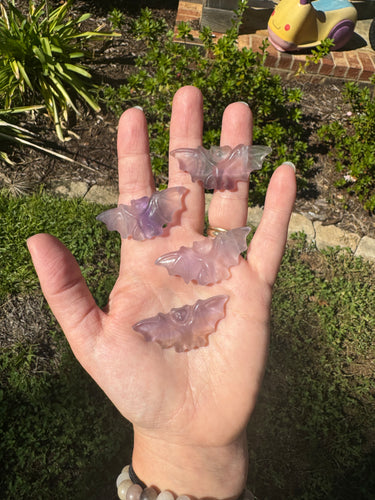 Fluorite Bat