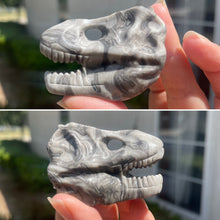 Load image into Gallery viewer, Dinosaur Skull