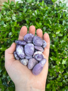 Lepidolite Tumbled