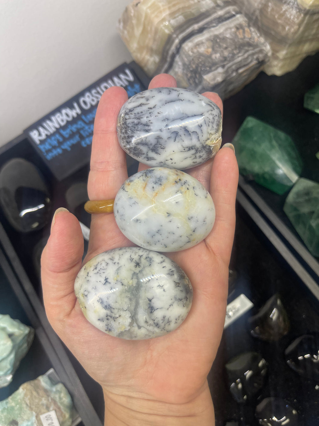 Dendritic Opal Palm Stone