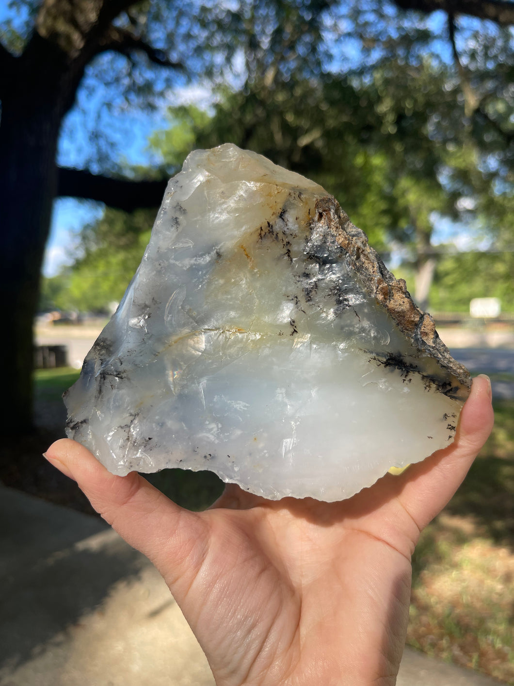 Raw Dendritic Opal/Agate