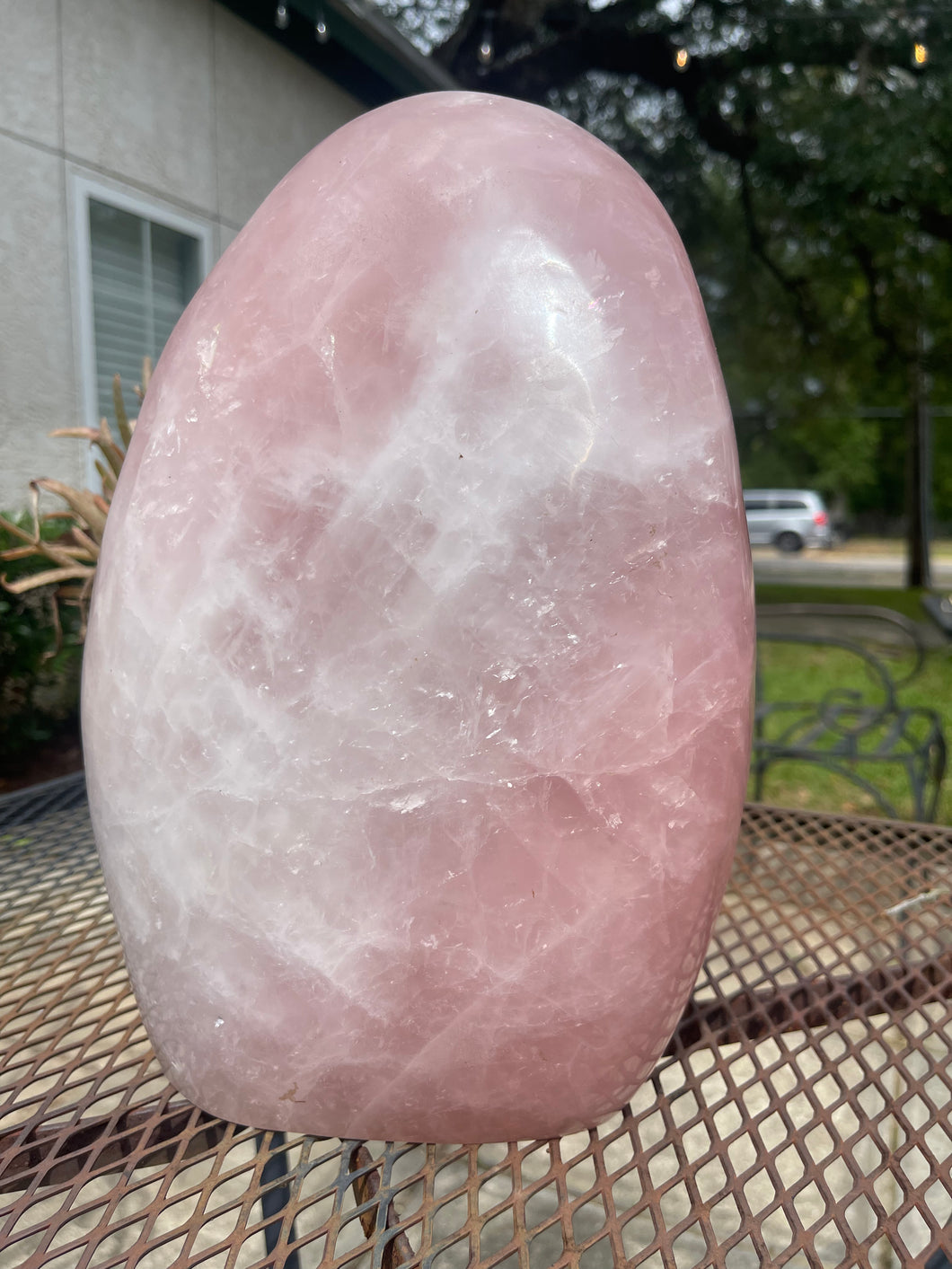 XL Rose Quartz Freeform Display