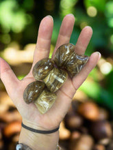 Load image into Gallery viewer, Chocolate Calcite Mushroom