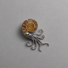 Load image into Gallery viewer, Ammonite Brooch