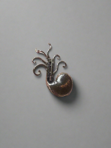 Ammonite Brooch