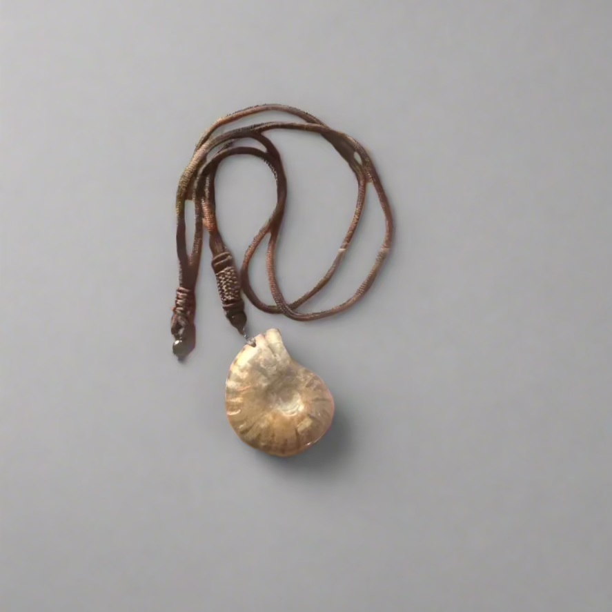 Whole Ammonite Necklace with Adjustable Cord