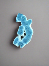 Load image into Gallery viewer, Blue Ridge Coral