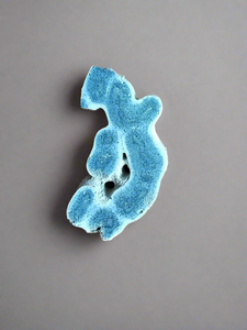 Blue Ridge Coral