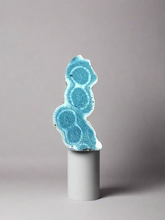 Load image into Gallery viewer, Blue Ridge Coral