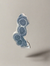 Load image into Gallery viewer, Blue Ridge Coral