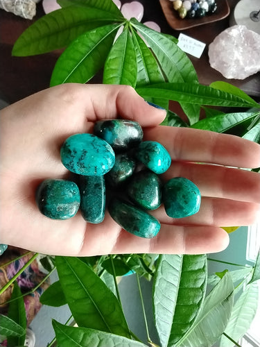 Crysocolla Tumbled