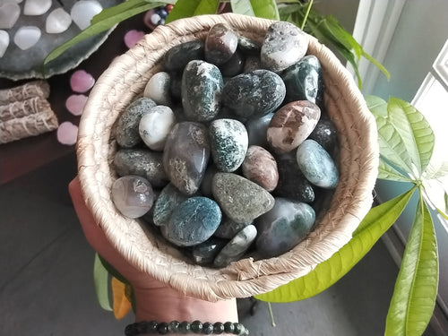 Moss Agate Tumbled