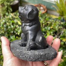 Load image into Gallery viewer, Cat and Dog Shungite Composite
